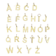 Alphabet Charm