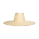Natural Wide Brimmed Palm Fringe Hat