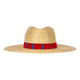 Red and Blue Palm Hat