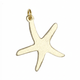 Starfish Charm