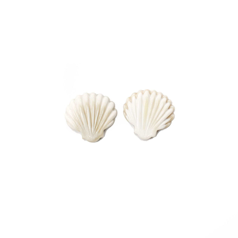 Sunshine Tienda® Seashell Stud Earrings